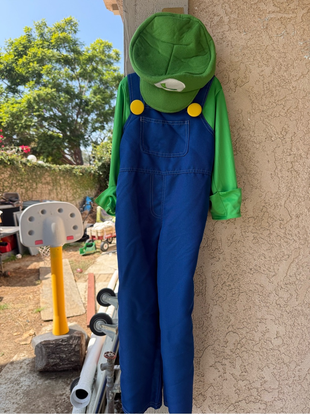 Childrens Luigi costume